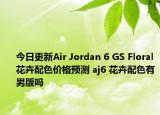 今日更新Air Jordan 6 GS Floral花卉配色价格预测 aj6 花卉配色有男版吗