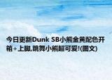 今日更新Dunk SB小熊金黄配色开箱+上脚,跳舞小熊超可爱!(图文)
