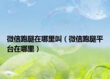 微信跑腿在哪里叫（微信跑腿平台在哪里）