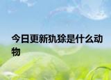今日更新犰狳是什么动物