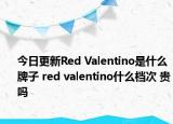今日更新Red Valentino是什么牌子 red valentino什么档次 贵吗