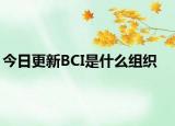 今日更新BCI是什么组织
