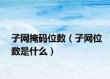 子网掩码位数（子网位数是什么）