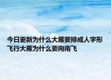 今日更新为什么大雁要排成人字形飞行大雁为什么要向南飞