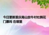 今日更新重庆南山放牛村杜鹃花门票吗 在哪里