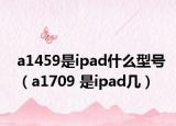 a1459是ipad什么型号（a1709 是ipad几）