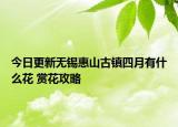 今日更新无锡惠山古镇四月有什么花 赏花攻略