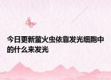 今日更新萤火虫依靠发光细胞中的什么来发光