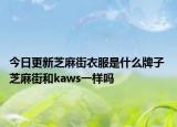 今日更新芝麻街衣服是什么牌子 芝麻街和kaws一样吗