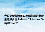 今日更新詹姆斯17新配色詹姆斯帮主题多少钱 LeBron 17 James Gang怎么入手