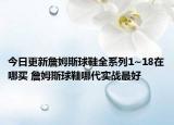 今日更新詹姆斯球鞋全系列1~18在哪买 詹姆斯球鞋哪代实战最好
