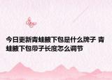 今日更新青蛙腋下包是什么牌子 青蛙腋下包带子长度怎么调节