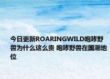 今日更新ROARINGWILD咆哮野兽为什么这么贵 咆哮野兽在国潮地位