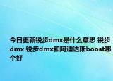 今日更新锐步dmx是什么意思 锐步dmx 锐步dmx和阿迪达斯boost哪个好