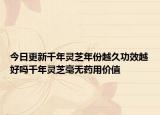 今日更新千年灵芝年份越久功效越好吗千年灵芝毫无药用价值