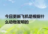 今日更新飞机是根据什么动物发明的