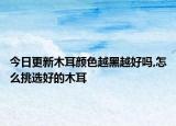 今日更新木耳颜色越黑越好吗,怎么挑选好的木耳