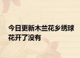 今日更新木兰花乡绣球花开了没有
