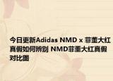 今日更新Adidas NMD x 菲董大红真假如何辨别 NMD菲董大红真假对比图