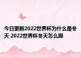 今日更新2022世界杯为什么是冬天 2022世界杯冬天怎么踢