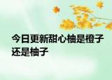 今日更新甜心柚是橙子还是柚子
