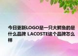 今日更新LOGO是一只大鳄鱼的是什么品牌 LACOSTE这个品牌怎么样