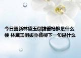 今日更新林黛玉倒拔垂杨柳是什么梗 林黛玉倒拔垂杨柳下一句是什么