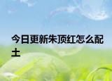 今日更新朱顶红怎么配土