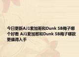 今日更新AJ1紫加哥和Dunk SB梅子哪个好看 AJ1紫加哥和Dunk SB梅子哪款更值得入手