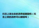 抖音上发出去的消息能撤回吗（抖音上发的消息可以撤回吗）