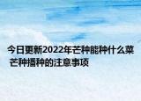 今日更新2022年芒种能种什么菜 芒种播种的注意事项