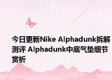 今日更新Nike Alphadunk拆解测评 Alphadunk中底气垫细节赏析