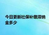 今日更新社保补缴滞纳金多少