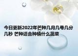今日更新2022年芒种几月几号几分几秒 芒种适合种植什么蔬菜