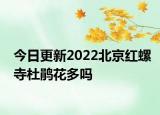 今日更新2022北京红螺寺杜鹃花多吗