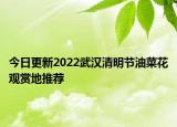 今日更新2022武汉清明节油菜花观赏地推荐