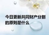今日更新共同财产分割的原则是什么