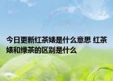 今日更新红茶婊是什么意思 红茶婊和绿茶的区别是什么