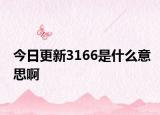 今日更新3166是什么意思啊