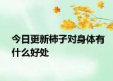 今日更新柿子对身体有什么好处