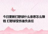 今日更新打野球什么意思怎么赚钱 打野球受伤谁负责任