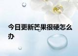 今日更新芒果很硬怎么办