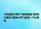 今日更新大博文飞跃是真的飞跃吗 大博文飞跃和大孚飞跃是一个公司吗