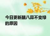 今日更新腊八蒜不变绿的原因