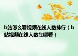 b站怎么看视频在线人数排行（b站视频在线人数在哪看）