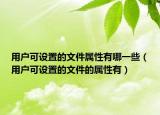 用户可设置的文件属性有哪一些（用户可设置的文件的属性有）