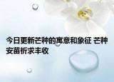 今日更新芒种的寓意和象征 芒种安苗祈求丰收
