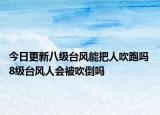 今日更新八级台风能把人吹跑吗 8级台风人会被吹倒吗