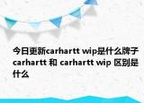 今日更新carhartt wip是什么牌子 carhartt 和 carhartt wip 区别是什么