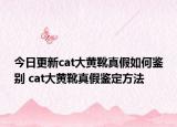 今日更新cat大黄靴真假如何鉴别 cat大黄靴真假鉴定方法